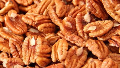 Las nueces modifican el sistema digestivo y mejoran la salud Las nueces modifican el sistema digestivo y mejoran la salud