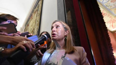 La Mesa del Congreso tumba la enmienda del PSOE para anular el veto del Senado