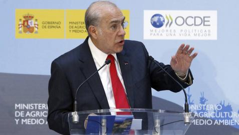 La OCDE insta a España a suprimir las subvenciones que se dan al carbón