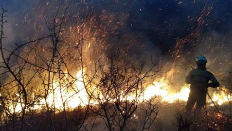 Navarra sufre en el último mes cerca de 100 incendios forestales