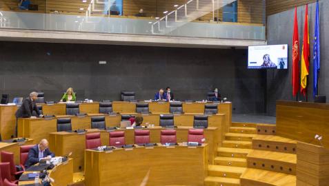 Pleno del Parlamento de Navarra.