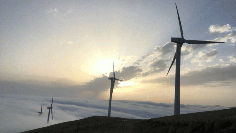 Iberdrola apuesta por las renovables