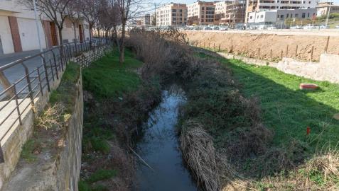Vista del río Queiles a su paso por Tudela, en concreto junto a la zona conocida como el Puente Mancho.