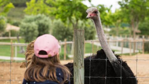 Sendaviva, aventura al aire libre cerca de casa Sendaviva, aventura al aire libre cerca de casa