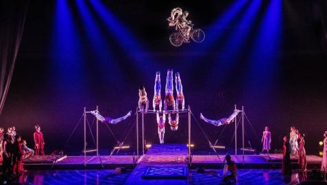 El Circo del Sol vuelve a Pamplona con 'Corteo' El Circo del Sol regresará a Pamplona en las Navidades de 2020. La compañía representará su espectáculo 'Corteo' en el pabellón Navarra Arena del 25 de diciembre de 2020 al 3 de enero del 2021.