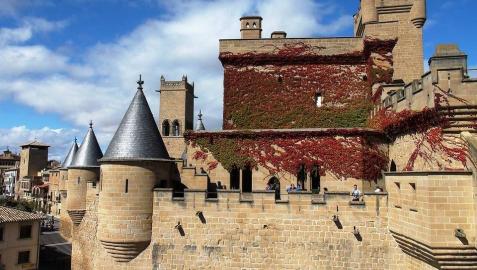 Imagen del Palacio Real de Olite