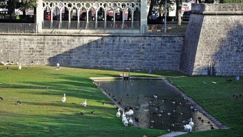 Una bomba solar para reutilizar el agua del estanque de la Taconera
