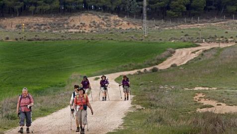 El Camino de Santiago, de Los Arcos a Logroño