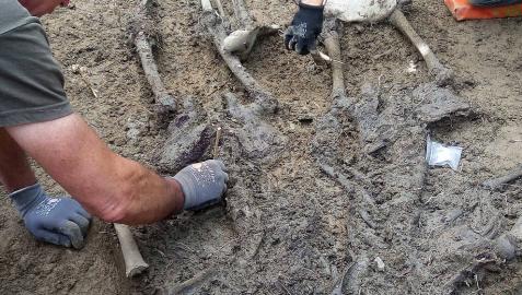 Exhumados los cuerpos de cuatro fugados de San Cristóbal en Larrasoaña