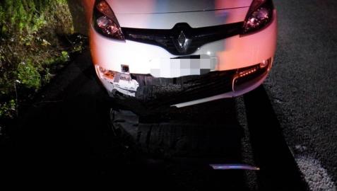 La Policía Foral atiende atropellos a animales en Monreal, Zizur y Aizkorbe