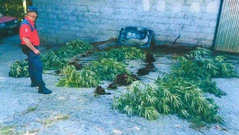 Detenido en Lesaka por tráfico de drogas y agredir a un policía foral