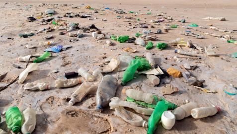 Residuos de plásticos en una playa