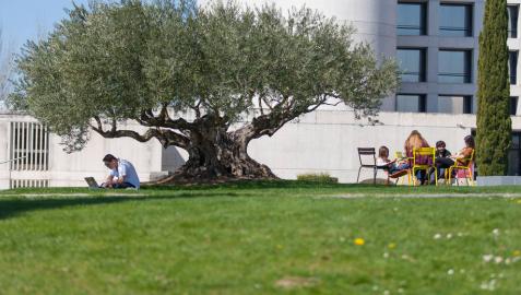 Diez grados de la Universidad de Navarra, entre los mejores de España