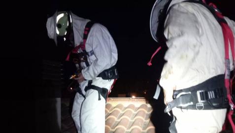 Los bomberos se preparan para extraer el panal. Los bomberos se preparan para extraer el panal.