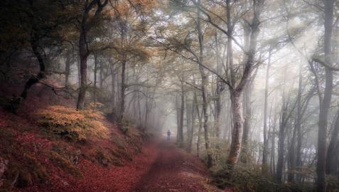 Fotografía Ibilaldia, ganadora del Concurso Fotográfico Conocer Navarra 2020.