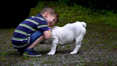 Tener perro en casa ayuda al desarrollo socioemocional en los niños pequeños