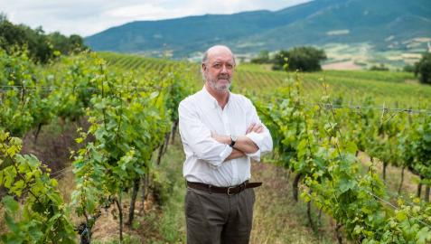 Julián Chivite: “Pesa ser el último de once generaciones, pero tengo ilusión por el vino”