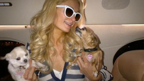Paris Hilton gana miles de euros en el casino Paris Hilton gana miles de euros en el casino