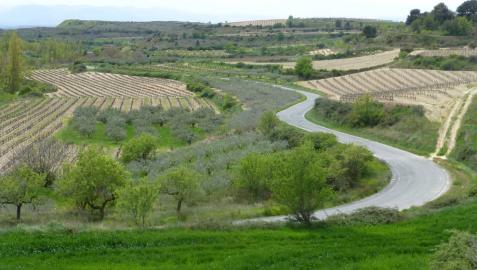 Nuevas fórmulas de ayudas en Navarra para favorecer la biodiversidad en la agricultura Nuevas fórmulas de ayudas en Navarra para favorecer la biodiversidad en la agricultura