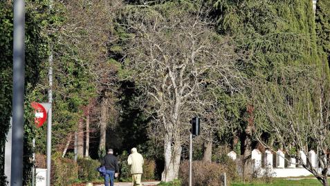 ¿Introduciría animales en el parque Aranzadi de Pamplona?