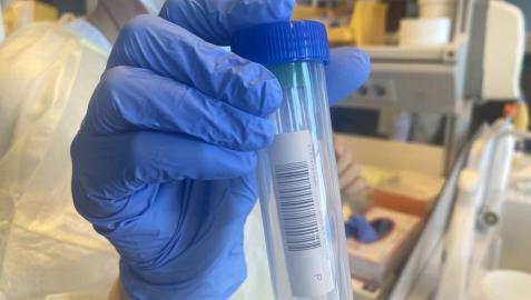 Laboratorio de pruebas PCR.