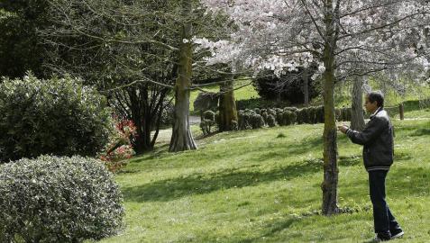 Parque de Yamaguchi
