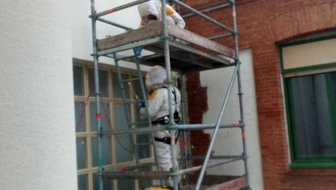 Los bomberos retiran una colonia de abejas del CHN