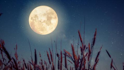 Superluna de las Flores Superluna de las Flores