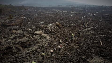 Nueva erupción en el Congo: rugen los volcanes de los que escribió Michael Crichton