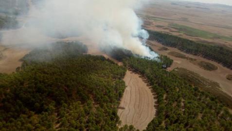 Bomberos trabajan en la extinción de un incendio forestal en Tafalla