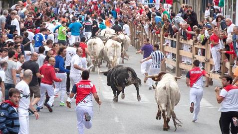 Primer encierro de fiestas de Tafalla Imágenes del primer encierro de fiestas de Tafalla 2015.