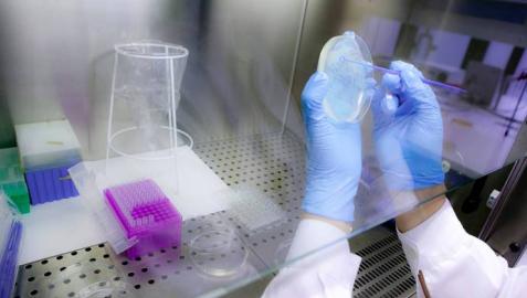 Trabajos en un laboratorio. Trabajos en un laboratorio.