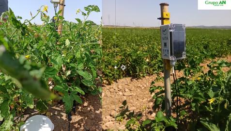Colaboraciones de la empresa líder Grupo AN con la start-up Brioagro durante la pasada edición