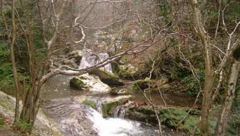 Parque natural de Valderejo, en Valdegovía.