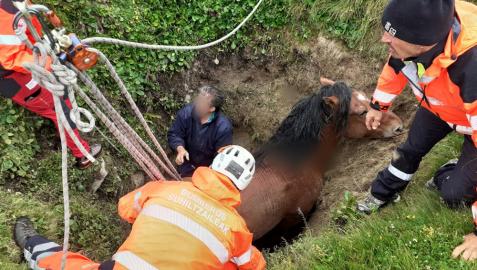 Rescate del caballo atrapado.