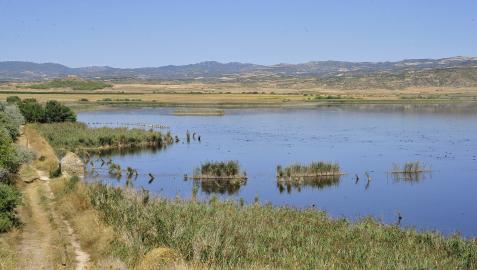 Vista general de la Reserva Natural de la laguna de Pitillas