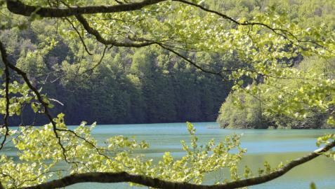 El embalse de Irabia es uno de los rincones más buscados dentro de la enorme masa forestal de la Selva de Irati.
