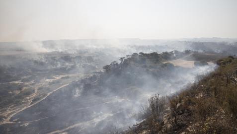 Incendio Bardenas