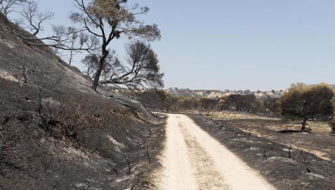 Incendio Bardenas