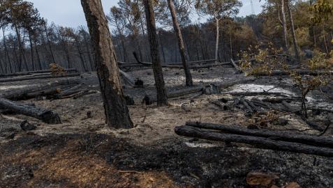 El incendio obligó este domingo a evacuar a una quincena de personas.