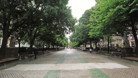 Vista del Paseo de Sarasate de Pamplona que será reurbanizado