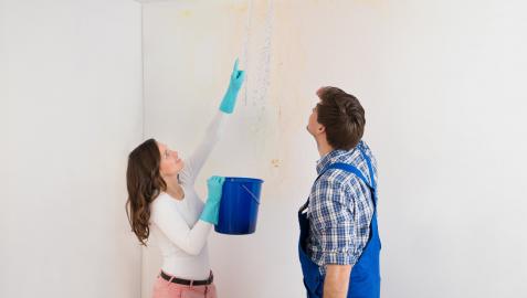 seguros fuga agua Humedades