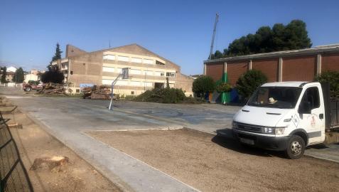 En primer plano se pueden ver los tocones de los pinos talados, donde ya se han plantado moreras