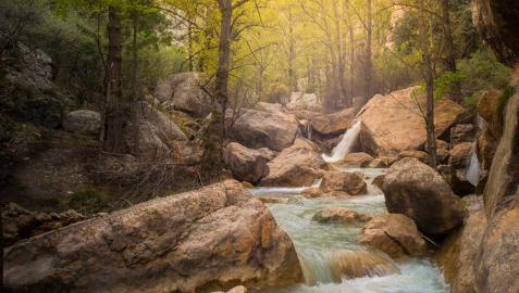 Senda fluvial de Aliaga