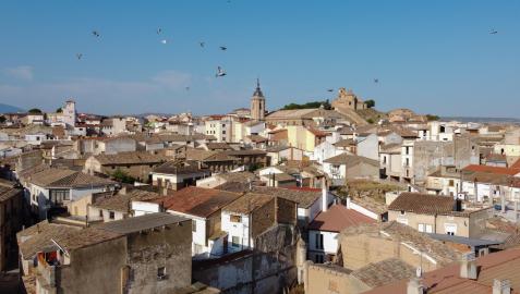 Vista general de la localidad ribera de Cascante, con la parroquia de Nuestra Asunción y la basílica y el parque del Romero al fondo