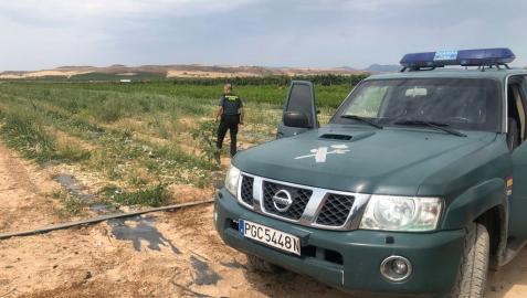 La explotación en la que se produjo el hurto se encuentra en la Merindad de Tierra Estella