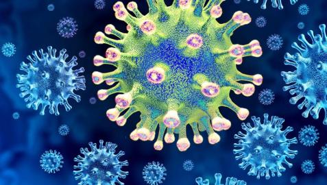 Coronavirus