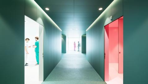 Paredes de verde sanitario en el pabellón de alergología del CHN, en el edificio de Urgencias