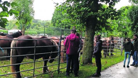 El paraje de Kuatropea vio recuperada la feria de septiembre de Burguete este domingo El paraje de Kuatropea vio recuperada la feria de septiembre de Burguete este domingo