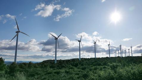 Imagen de un parque eólico contruido por la eléctrica vasca en Albacete
